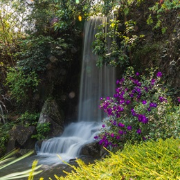 The waterfall in the western part of the park appears to feed the lake adjacent to the Moon Pavilion. The waterfall is a key feature of the park and helps cool the surrounding space, provide a pleasant sound of cascading water and a visual focus on the western hill.